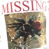 Pregnant Tarantula Scuttling Loose In Park Slope